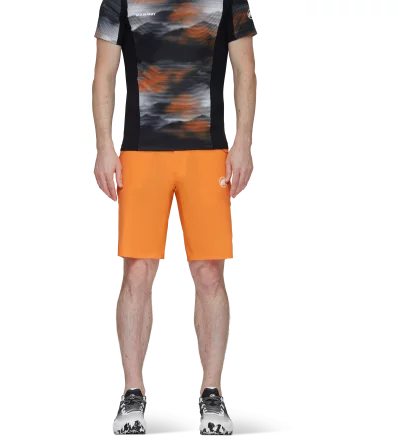 Mammut Aenergy Light So Shorts SS2024