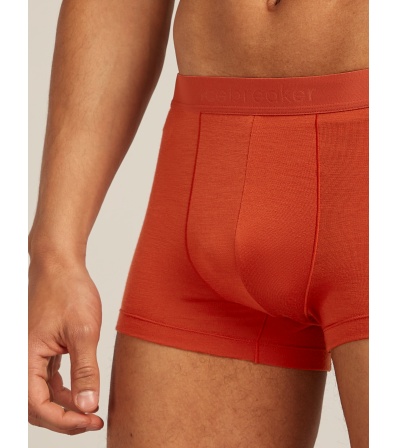 Icebreaker Merino Blend 125 Cool-Lite Anatomica Trunks