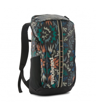 Patagonia Black Hole Pack 25L
