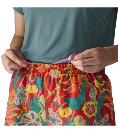 Patagonia Baggies 5