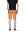 Mammut Aenergy Light So Shorts SS2024