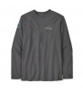 Patagonia Lightweight Unity Fitz Wildrise Crew M's