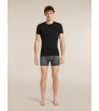 Icebreaker Merino 150 Anatomica Boxers Transitions