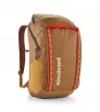 Patagonia Black Hole Pack 32L