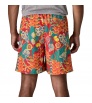 Patagonia Baggies Longs Shorts 7